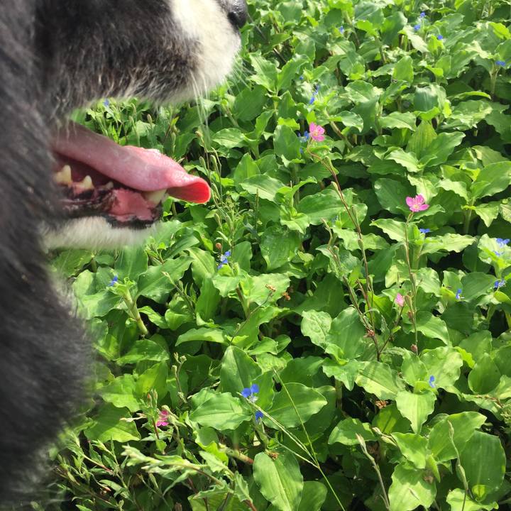 8b101cb6 a292 47e1 847d 94bff11cd094 1561765114784