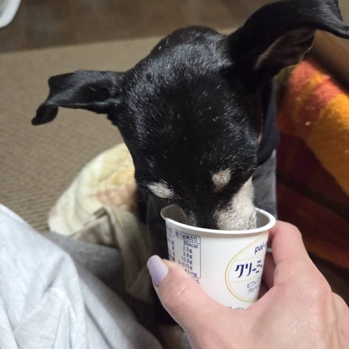 8b10261d b20c 4158 a313 9d18669dd4e2 1767697556019