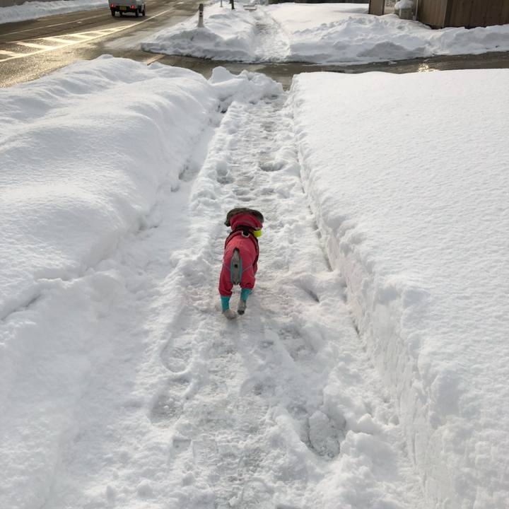 8b10470a bf38 429c 925e 46f3be4abbc4 1517107022263