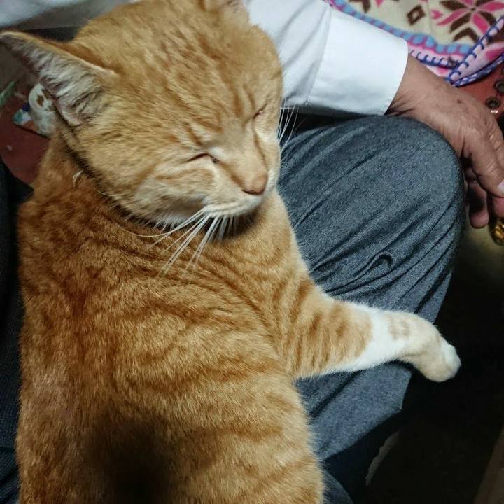 8b108342 eb9f 4318 b5e4 c951cfdd3ac7 1576056021546