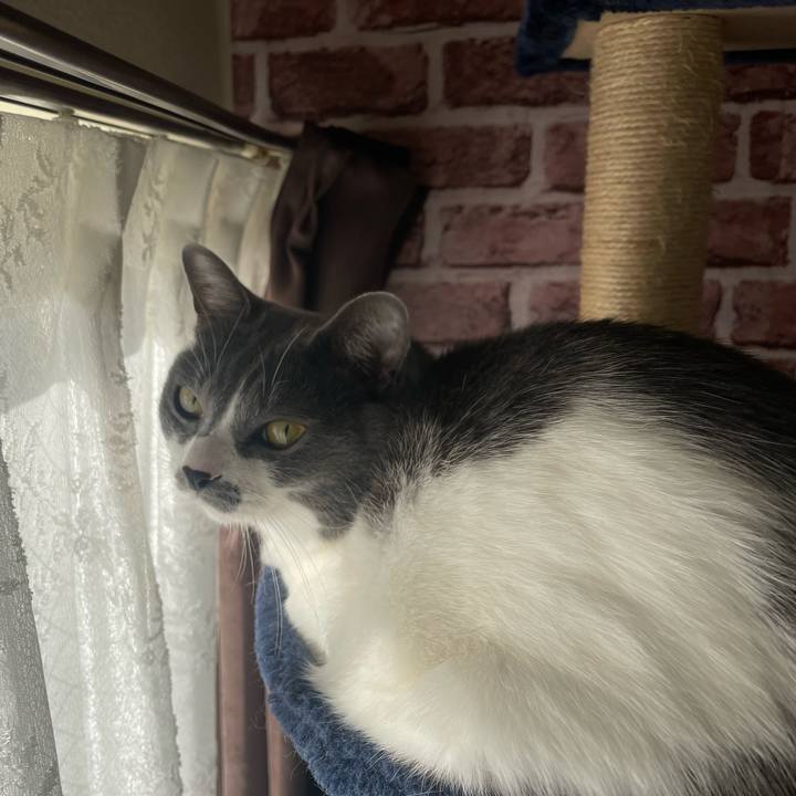 8b10860d 5b69 42e6 82d0 b0c8a6a48df2 1670286273195