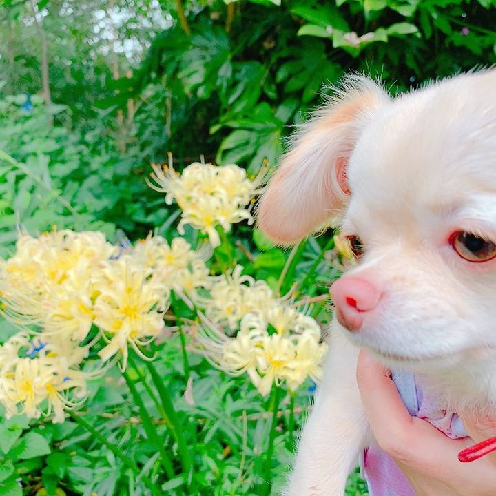 8b108720 5877 4e1c b88a d8241b775a04 1631694314673