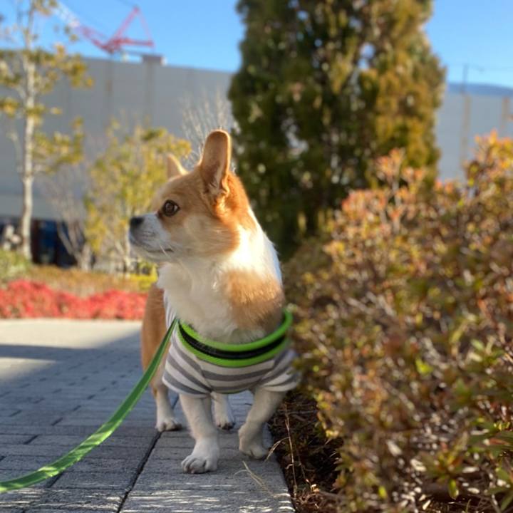 8b10aede b92d 452a a7ba 2e6989bb4f87 1641361052566