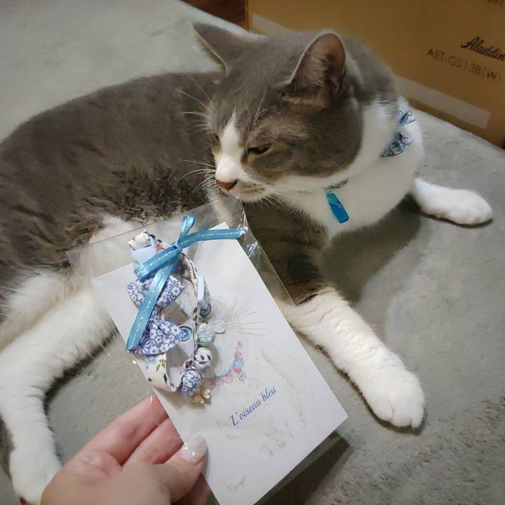 8b10b0b5 afa2 4b70 99b7 f110821189e1 1722260597581