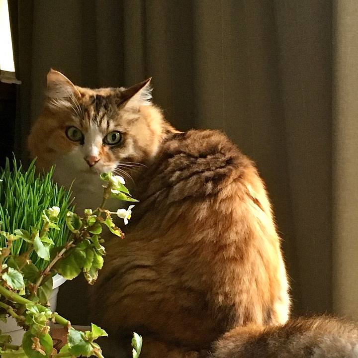 8b10b390 3ddb 447f 995f c11c66d99785 1627874638370