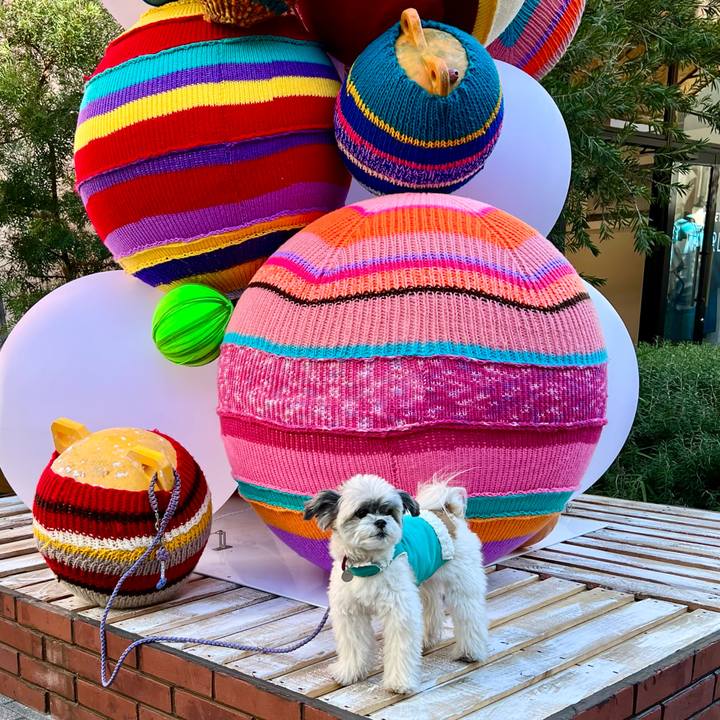 8b10c7c5 c188 48da a21a b1e3cc78861e 1702268115837