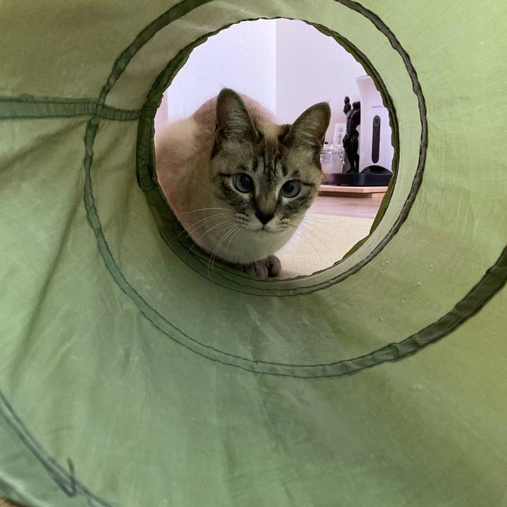 8b10e07c 4e31 4ce4 9797 63c621008c60 1613957591501