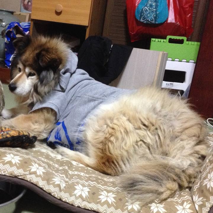 8b10e3ea 28ec 4e19 9085 4f2e1eb496db 1602738823433