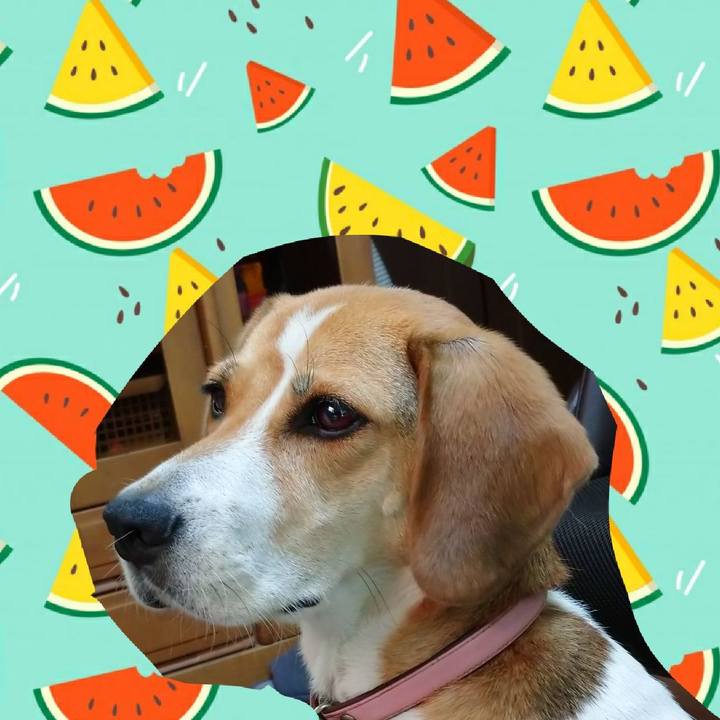 8b10f034 129d 4a56 865d 7be645273f19 1597730073623