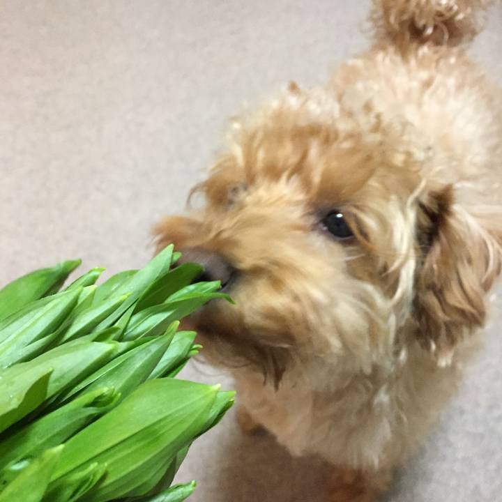 8b10f86b c9bf 4aa5 b9bf bf067d17130f 1524484760548