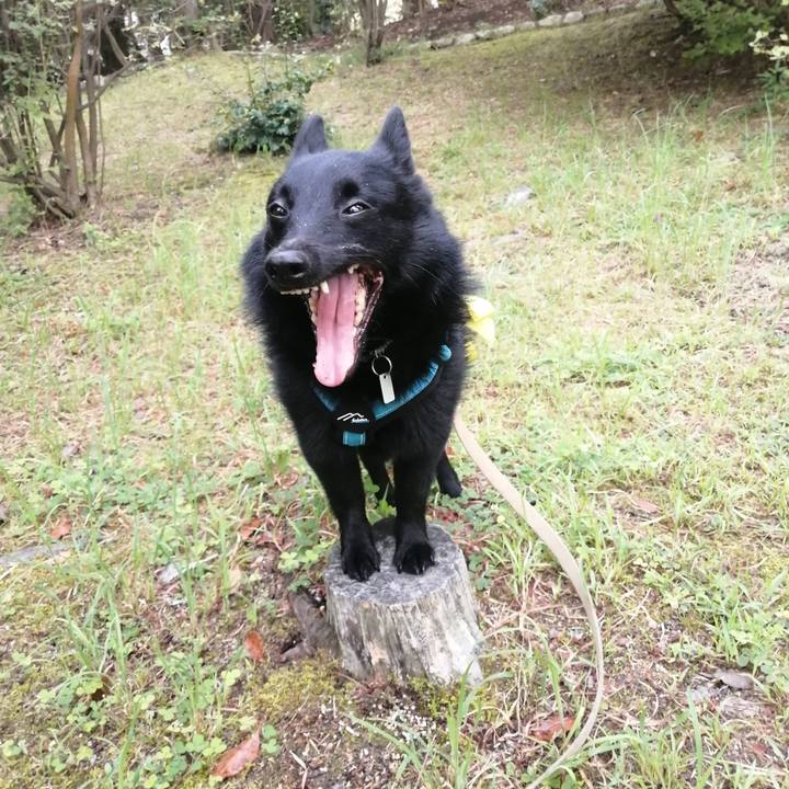 8b111348 e662 4654 a226 c955b36f8900 1659823896089