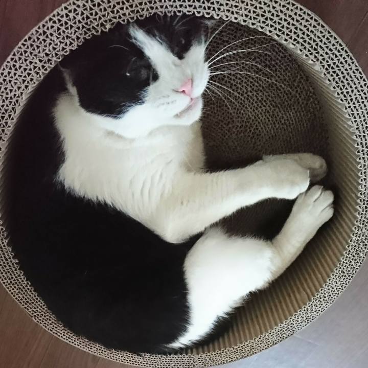 8b113c6e cc1c 421a 88d7 d32d3a2b4cdf 1588495432463