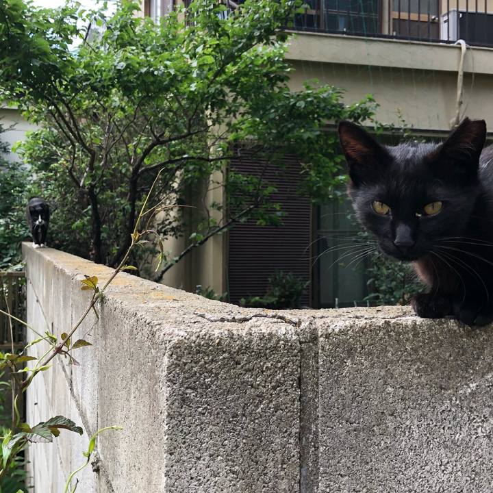 8b114417 9de2 4e90 a4b2 012ca93d0c13 1526891046909