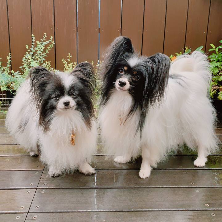 8b114808 3ce9 476f a2c9 d18779d6a10a 1594638734670