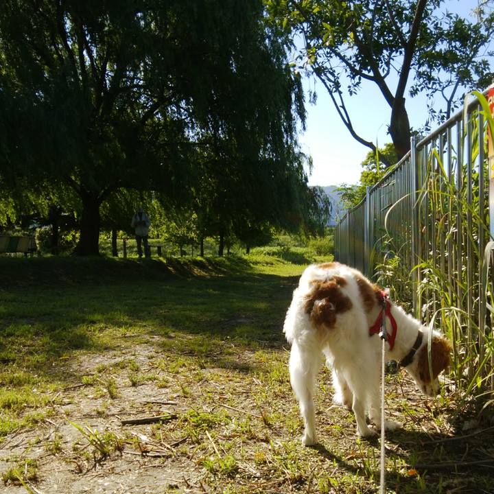 8b118dde 8f54 47a9 a168 0819ff7de5ab 1527120609452