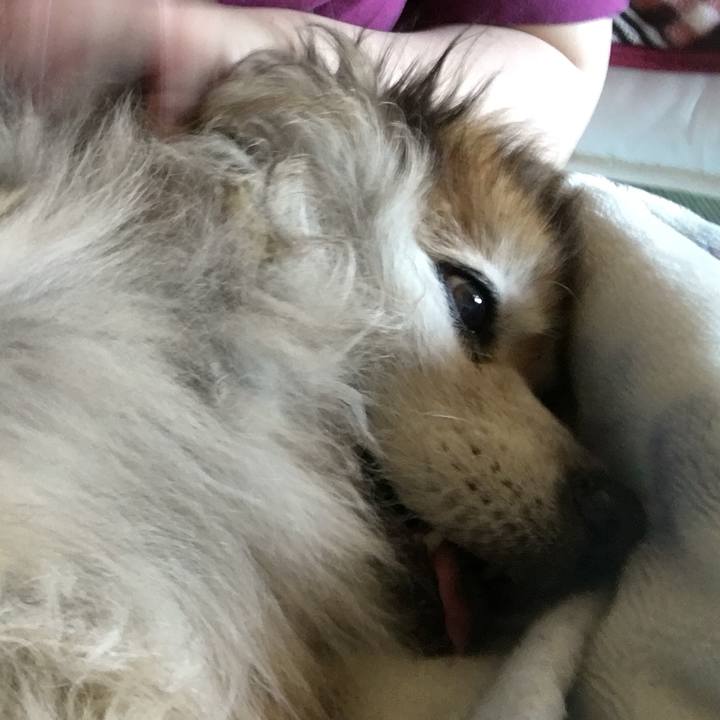 8b11c4b9 0561 4caf 825d 4a83e47559a9 1560329373716