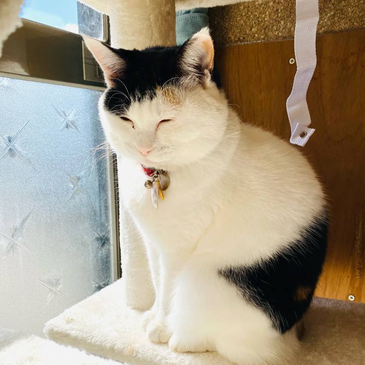 8b11c526 95f9 4773 acc0 d8dc66326288 1739948904729