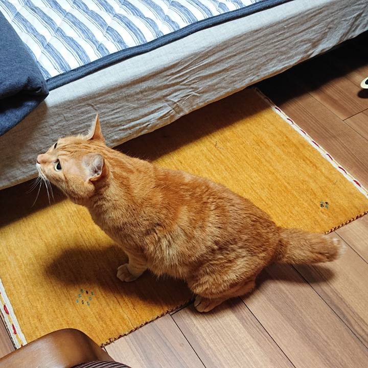 8b11d5db d680 472e 9aad d2c80a3d6459 1559955620800