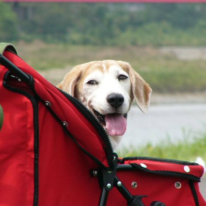 8b11f541 a573 4656 8d03 27a1740c358a 1668043661277