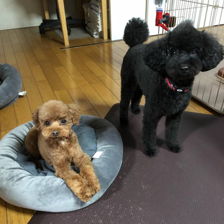 8b121768 d61b 41ce 9e5e 8002f6c9d27f 1581150984465