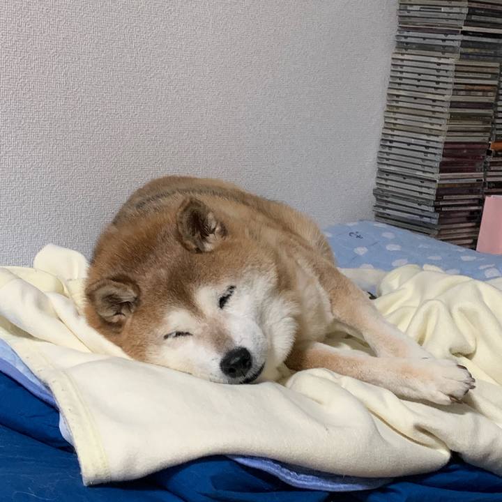 8b122321 e8a0 4a81 abb2 63e508756e83 1566478891398