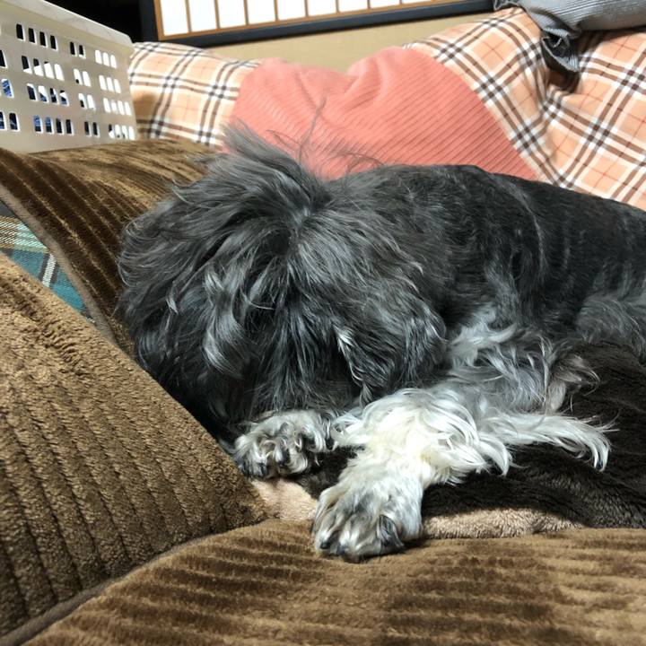 8b123e16 7e97 4111 b841 26b7e7c0beea 1621782816107