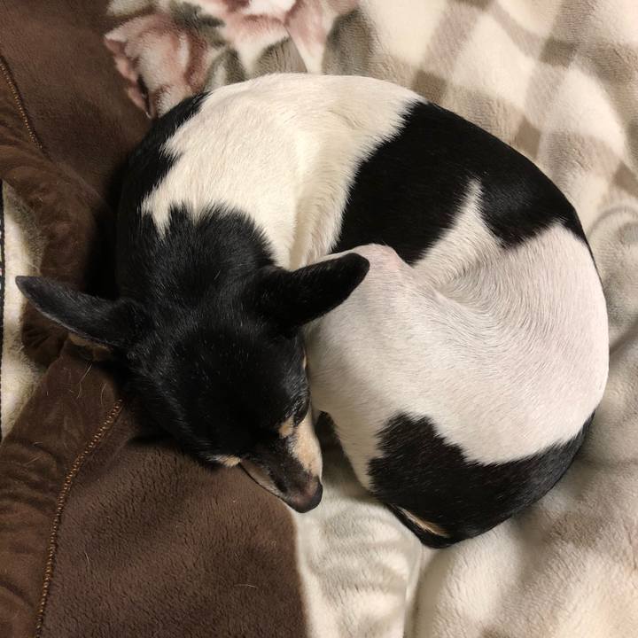 8b124256 bc1e 463e a7e7 a59990501673 1512826328540