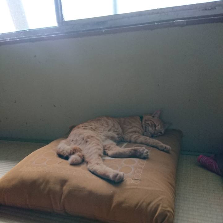 8b127556 f117 4420 873c 2cdbca048524 1662343297989