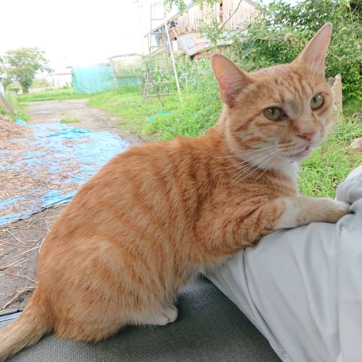 8b128020 01f0 4f3b 955e 881c2b0b5bc9 1594978120883