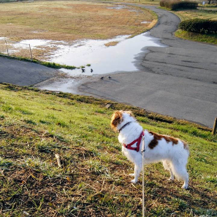 8b12ac89 a23d 4ad5 b0ea d4d3bd87bfe9 1551399020047