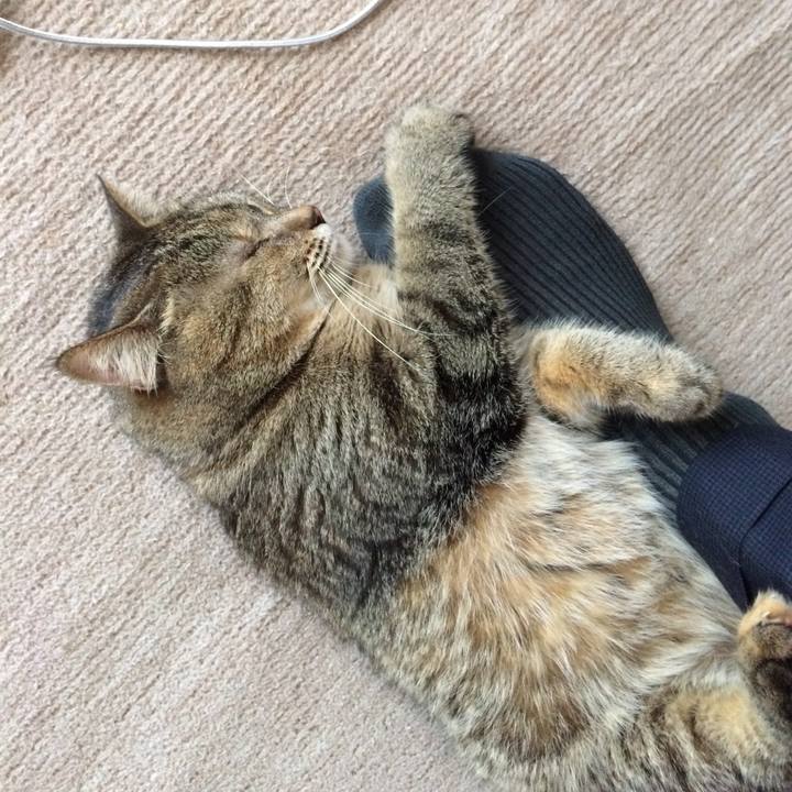 8b12bb81 fb8d 49d0 8226 09a62f3f013f 1533164195083