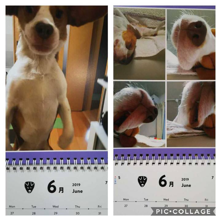 8b12c986 3ea8 494e a051 6872001864a9 1559310992044