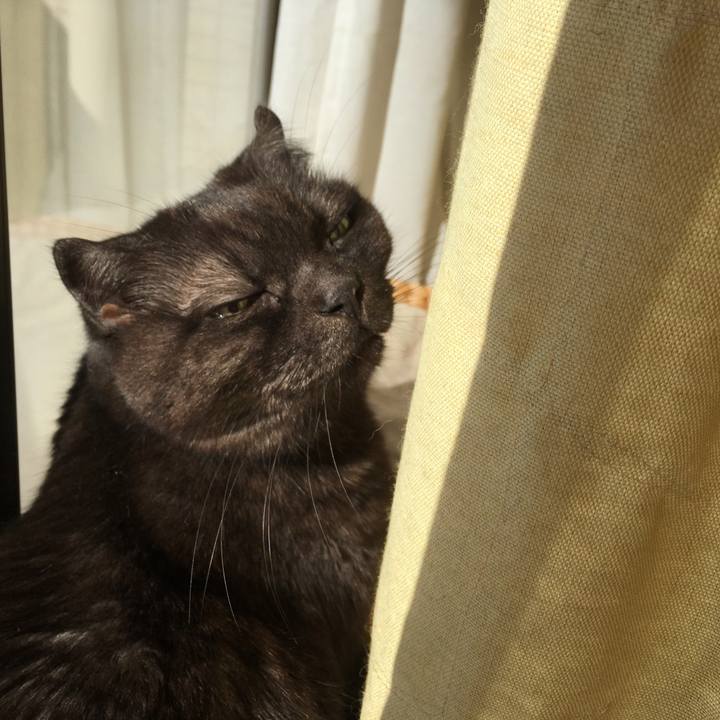 8b12cee1 1832 46a0 be97 a0a0a2e3e525 1548643239656