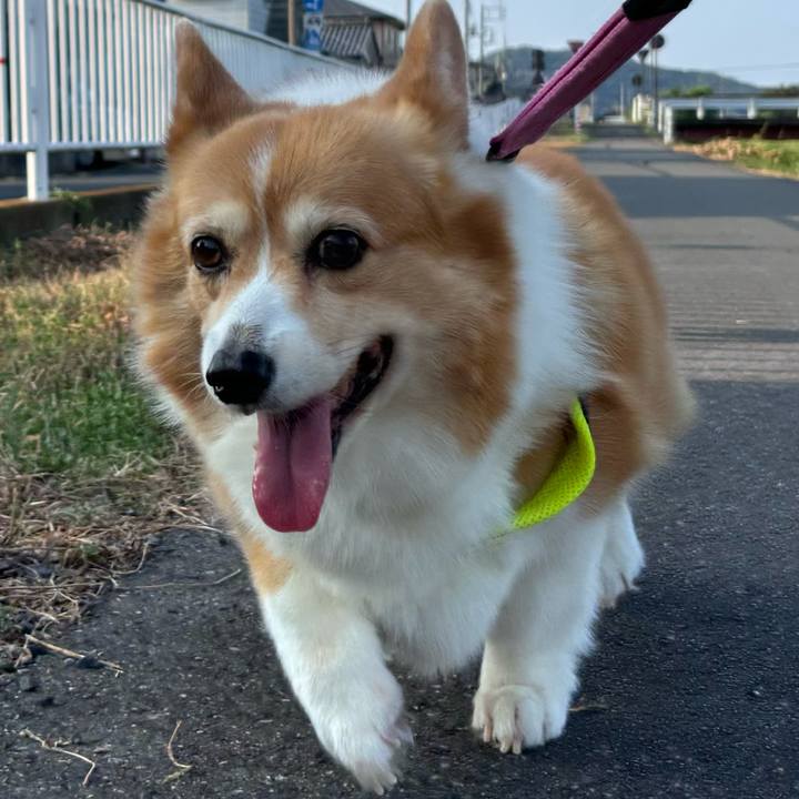 8b12d5d1 f36a 4439 ba52 7b26457ebd71 1756765795953