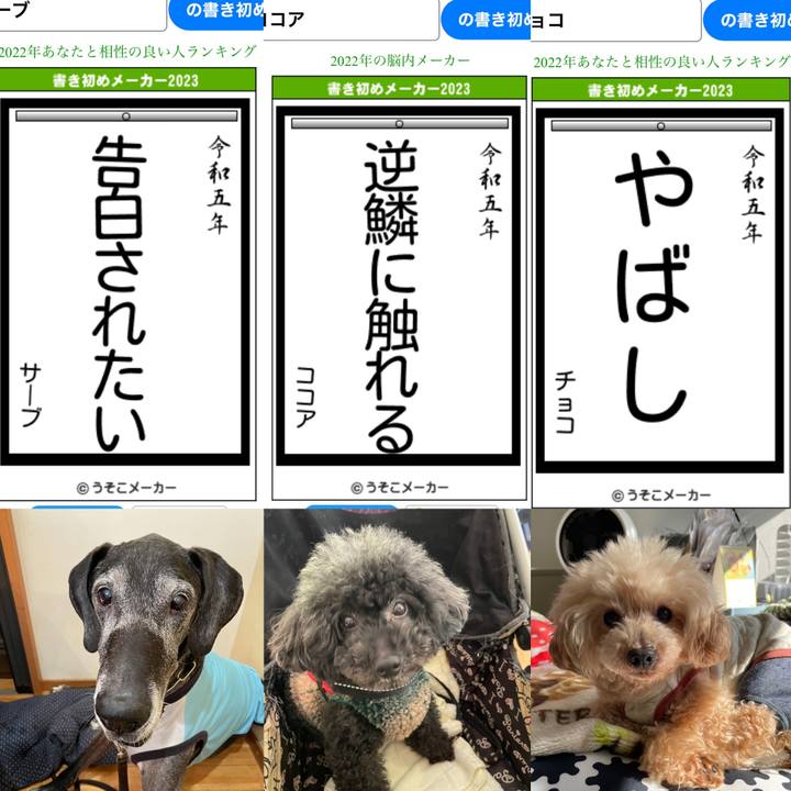 8b12f8c9 8c5a 458d 866d dd0dbced5c4c 1672719558574