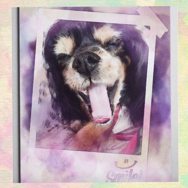 8b131260 79e7 40ab ad5a e11269f51d92 1509852196750