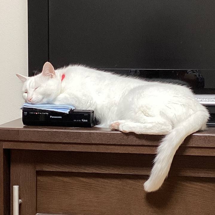 8b131321 3556 4ef3 ad2c 8033fef52d39 1717140917889