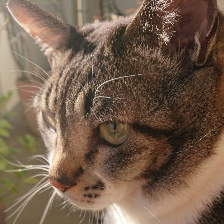 8b1317fd 2b0c 447b a532 6b336258746c 1580600768012