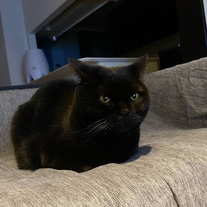 8b136d72 7d83 4f1b 9f7a fb69255e6355 1740659892276