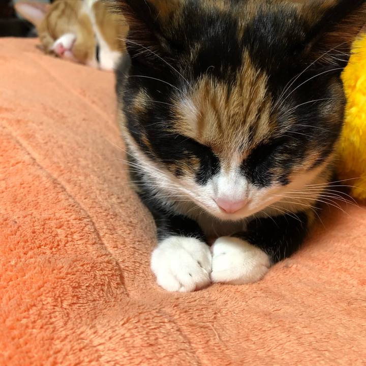 8b136e2a 28de 4742 a684 01aad5efba10 1556368946400