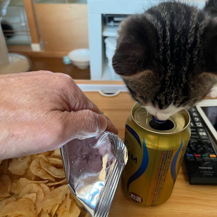 8b139a56 a41a 406b aae5 9526608bfbf9 1766906378340