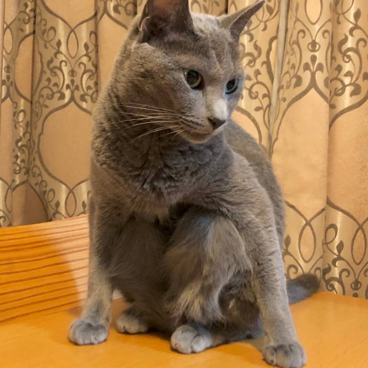 8b13b416 9b2f 46c6 b1ba 89db83ef16c2 1628579414343