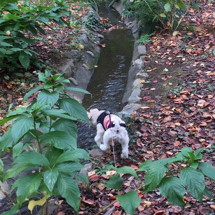 8b13c20a 8149 46a4 b859 6398f9a3b3d1 1542522451576