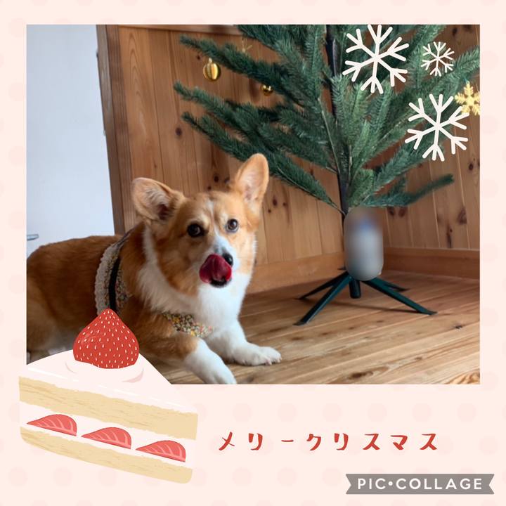 8b13dca1 6cd8 4602 98a6 363f4a9483fc 1671971240894