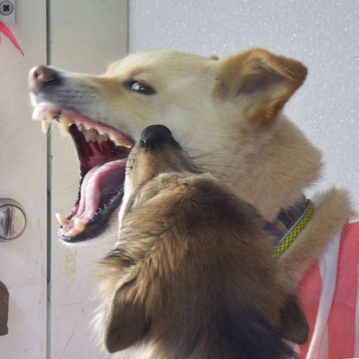 8b13f69f bf5c 4d13 9132 0ccaf593d276 1528208471497