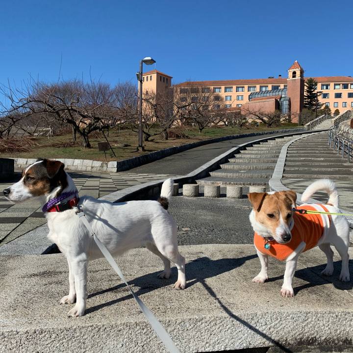 8b14030f 4f66 43a4 8112 3ebf25dd78d8 1577953437153