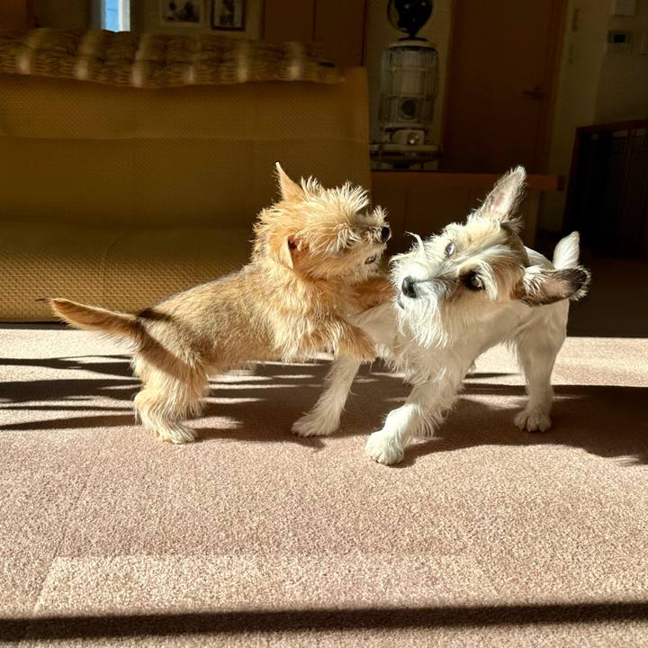 8b142d41 e8cb 4323 9b4d e46624556087 1703774227742