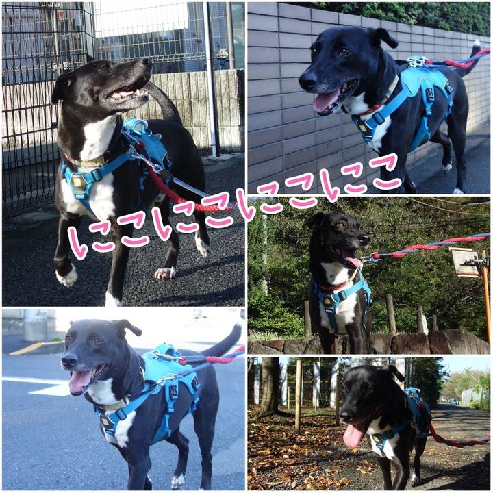 8b1431ca 92d5 47c8 a7c7 55544809f083 1633134246662