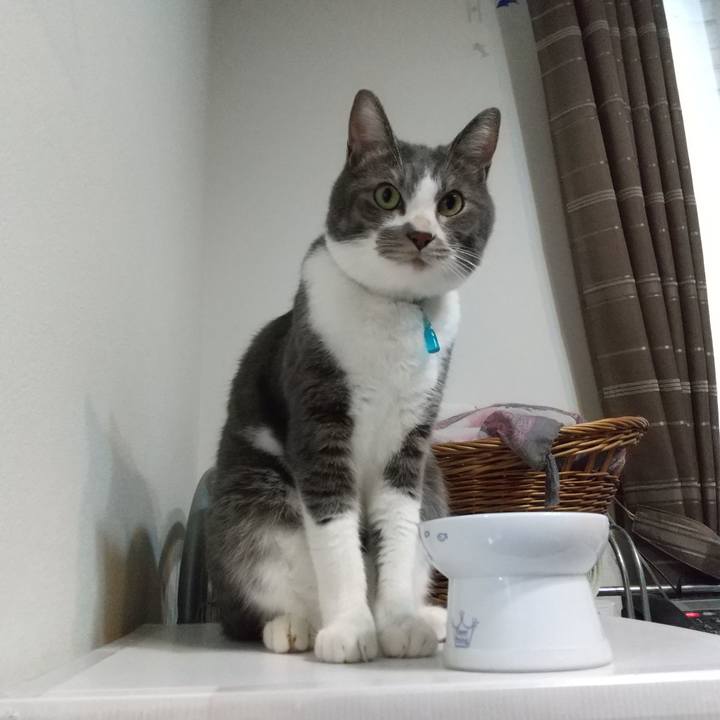 8b1438bf 2787 4bf0 aed3 64bde5b633d7 1632560781687