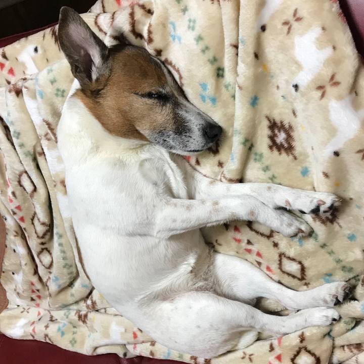 8b14a802 897d 49fb 8763 d363fe6940b8 1521726212741